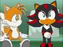 contest entry amy to shadow