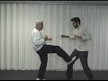 Free Self Defense Mini Course - Lesson 1 Free Self Defense Mini Course - Lesson 1