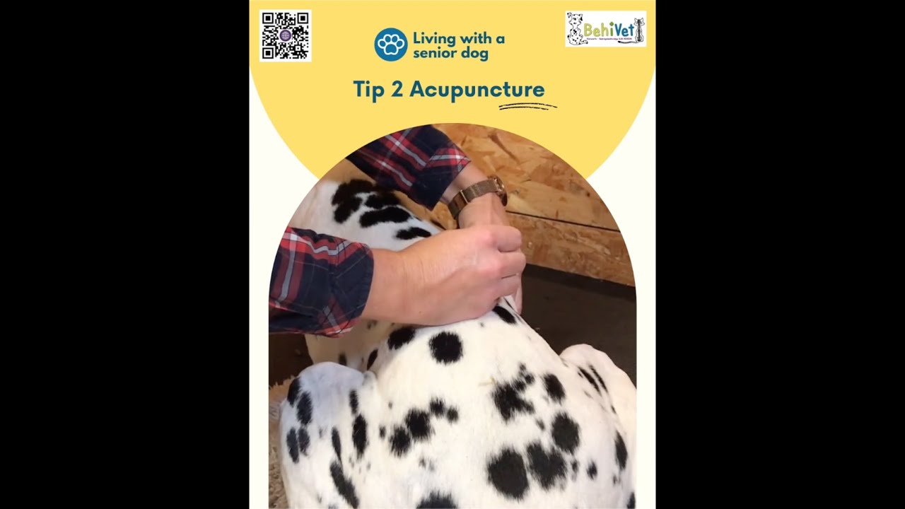 TIP 2 - Acupuncture helps against pain and improves blood circulation