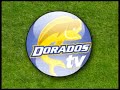 Historia del Dorados de Sinaloa
