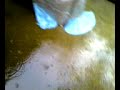 After_Rain After_Rain