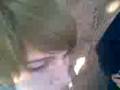fe�a shishi danni yo :B