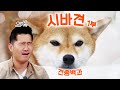 The Best 14 시바이누 인형