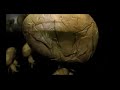zupe?nie nowy, premierowy album legendy zimnej fali!
singlem promuj?cym p?yt? jest utw�r ?ca?e miasto ?pi