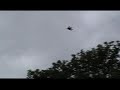 Attaque d oiseau