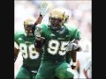 usf bulls