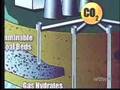 CO2 Sequestration on WTTW Chicago Tonight 03/27/07