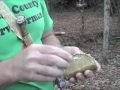 In this video Mike shows us a few things you can do with your deer hide after it's been tanned.