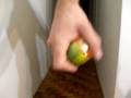 (uploaded by atalves)&nbsp;Super Power Gyro Wrist Ball