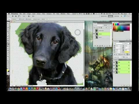 how to eliminate background in photoshop cs5