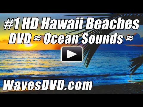 Hawaiian Music - RELAX NOW. Enjoy our #1 Best Selling