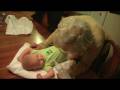 videos de Ryan & Granny.TOD