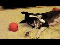 See video