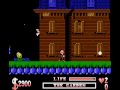 buy this game and more at www.pedrogames.com . the addams family is a platform game based on the characters and settings from the movie (which, in turn, is based on the famous 1960's television series, which in turn is based on charles addams cartoon of the same name, which was featured in the magazine, the new yorker, in the 30's). the game takes place towards the end of the movie the addams family has been evicted from their home by a court order issued by a backstabbing attorney (there's one for the books), tully alford. even worse, the other addamses: morticia, pugsley, wednesday, granny and lurch have gone missing. as gomez, you must tour the addams mansion in search of your lost family, battling out mysterious monsters and evading traps, and eventually face your nemesis, tully!
