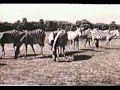 USAフォー・アフリカ動画