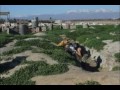 SC Village 08