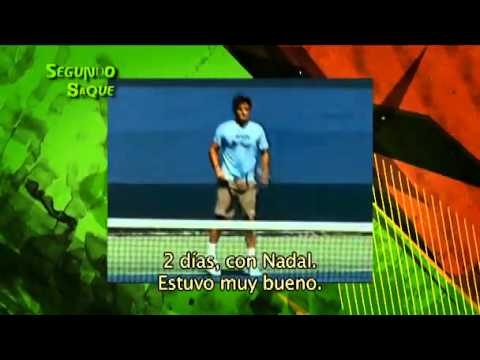 Programa 74, Andrea Collarini