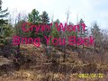 Cryin' Won't Bring You Back