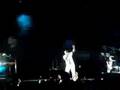 clip video Seal The beginning