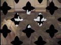 Cute Maltese Doggy tricks Cute Maltese Doggy tricks