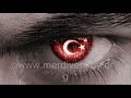Hepimiz M�sl�maniz, Ermeni yalaka`si de?liz
