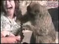 Os animais são mesmo inteligentes