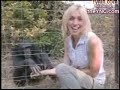 animais engracados