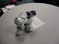 Aibo Desktop Manipulation - Paper Transport 1