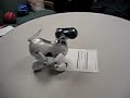 Aibo Desktop Manipulation - Paper Transport 1