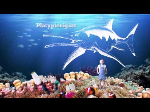 Dig The Tropic - Platypterigius