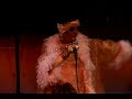ChaCha Frenzy sings Eartha Kitt ChaCha Frenzy sings Eartha Kitt