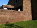videos de parkour at central