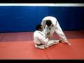 cool jiu jitsu sweep