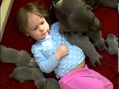 Avalon and her puppies