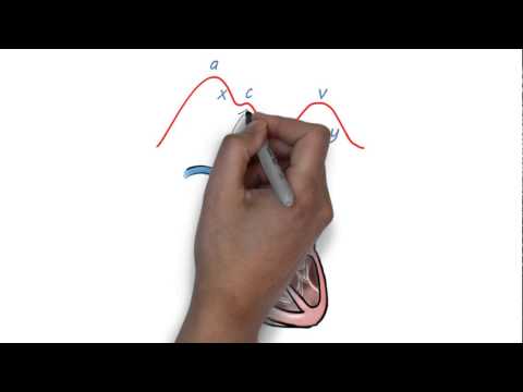 how to measure jvp waveform