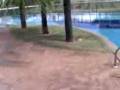 videos de Estudando no Hawaiiii....