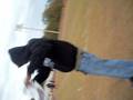 videos de Fuhr Dog