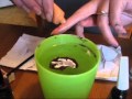 Посмотреть видео