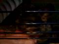 videos de Chinchi is so cute