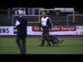 Preview video <strong>Tobias Oleynik mit Kuba vom Fluchtweg</strong>