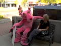 Very Funny Pink Panther? Sighting Video
