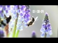 O2 & Neja Walking On A Dream Video and Lyrics