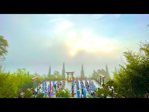 Tinh Hoa NIKAYA - Trải Tâm Từ - Xin Cùng Nhau Thấu Hiểu - Những Đau Khổ Trong Nhau