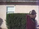 Search Video