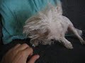 Luna e Maith�