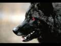 videos de Bloodmoon ~Angel Of Darkness~