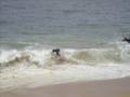 Skimfest 2