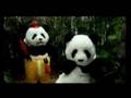 Alessandra - Los pandas