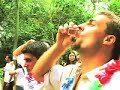 Modo Folia