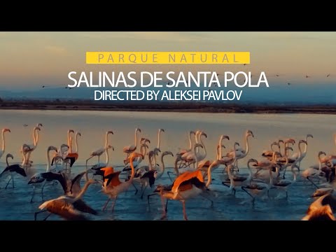 Parque natural Salinas de Santa Pola. National Geographic